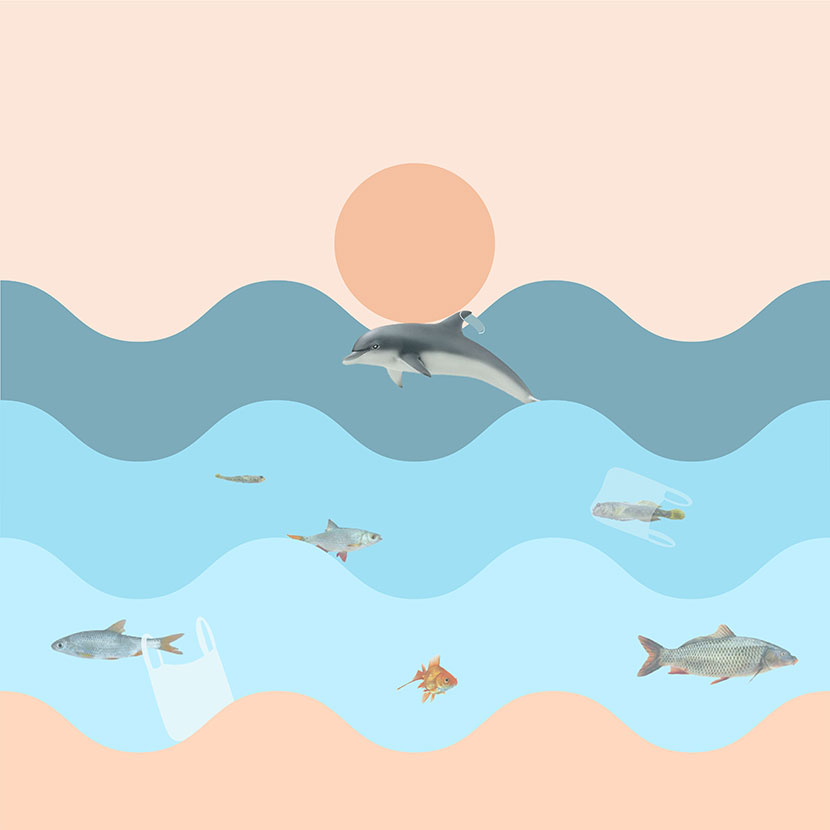 Sea pollution